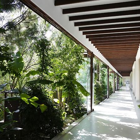 The Lifeco Bodrum Well-Being Detox Center And Vegan Hotel (Adults Only) Голтуркбуку Екстер'єр фото