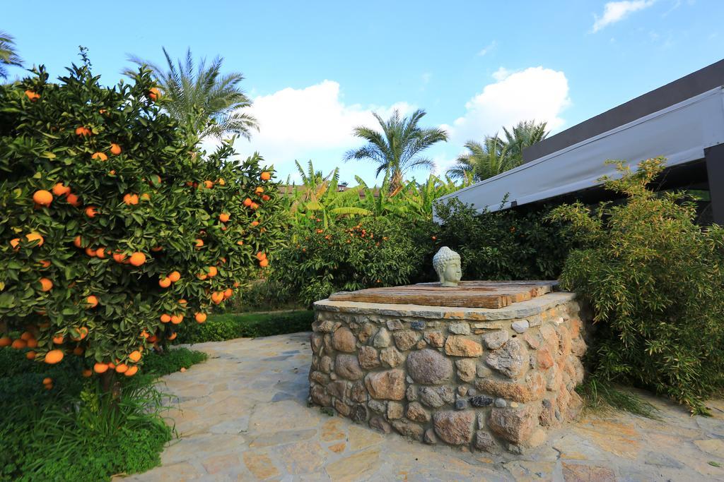 The Lifeco Bodrum Well-Being Detox Center And Vegan Hotel (Adults Only) Голтуркбуку Екстер'єр фото