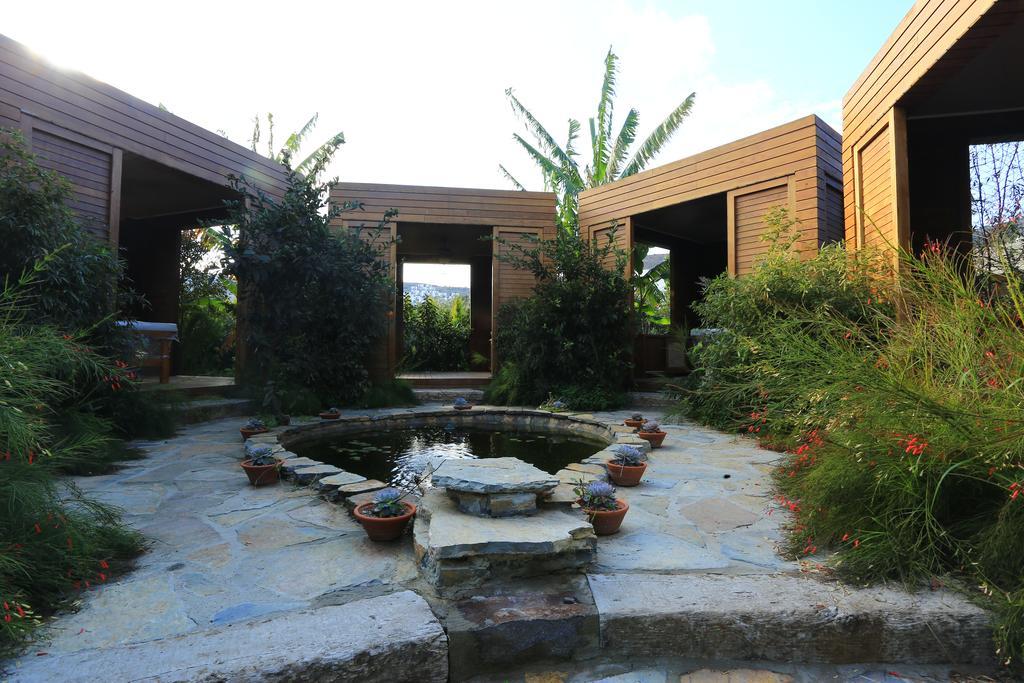 The Lifeco Bodrum Well-Being Detox Center And Vegan Hotel (Adults Only) Голтуркбуку Екстер'єр фото
