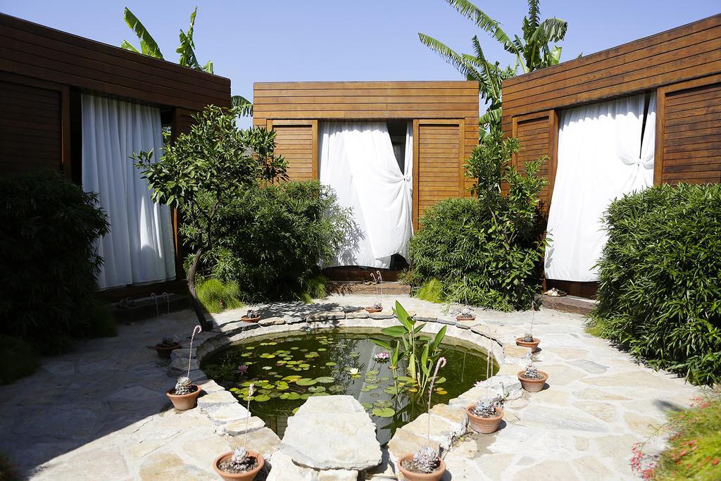 The Lifeco Bodrum Well-Being Detox Center And Vegan Hotel (Adults Only) Голтуркбуку Екстер'єр фото